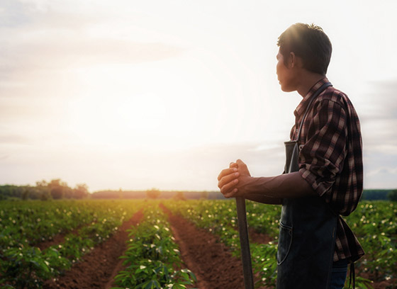 Organic Farms Sourcing