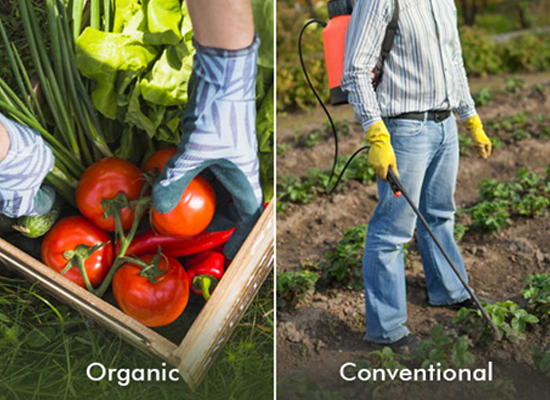 organic produce over conventionally grown produce