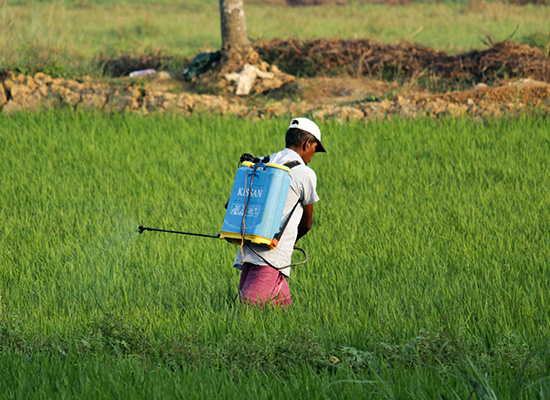 Pesticides on Corp