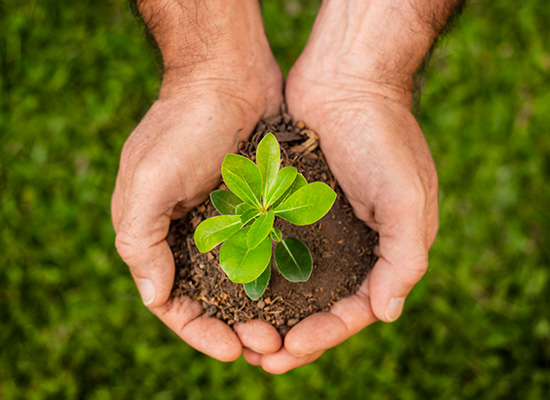 Promoting Sustainable Agriculture