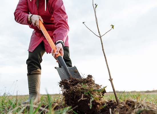 Threats To Healthy Soil