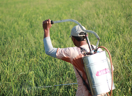 Pesticides On Farmers