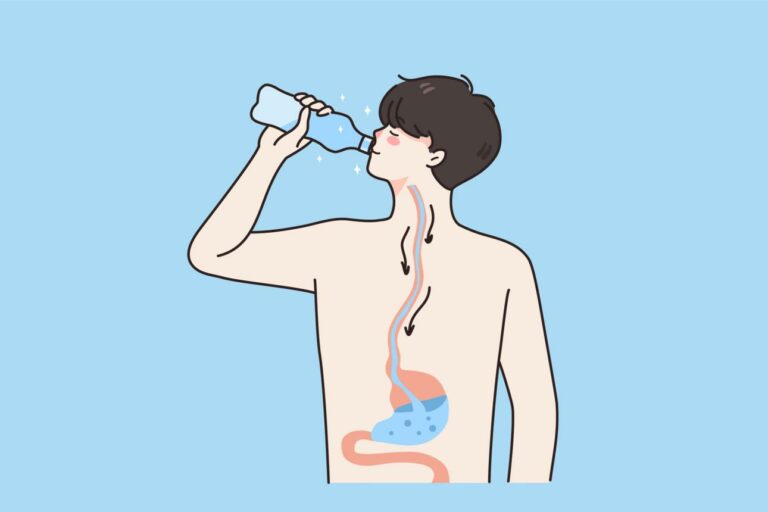 How Heatwaves Affect Gut Health & What to Eat to Recover